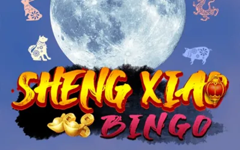 Play Sheng Xiao Bingo on the Baji platform.